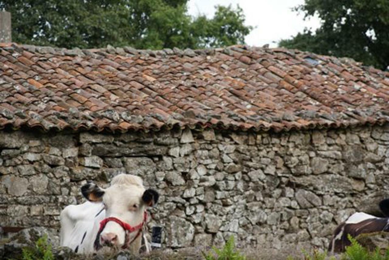 Stone Cottage Fisterra Curtis Buitenkant foto